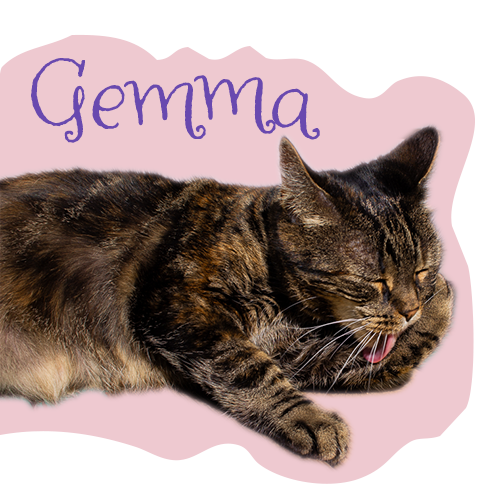 Gemma Graphic